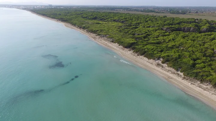 Es Comú · office de tourisme des Baléares