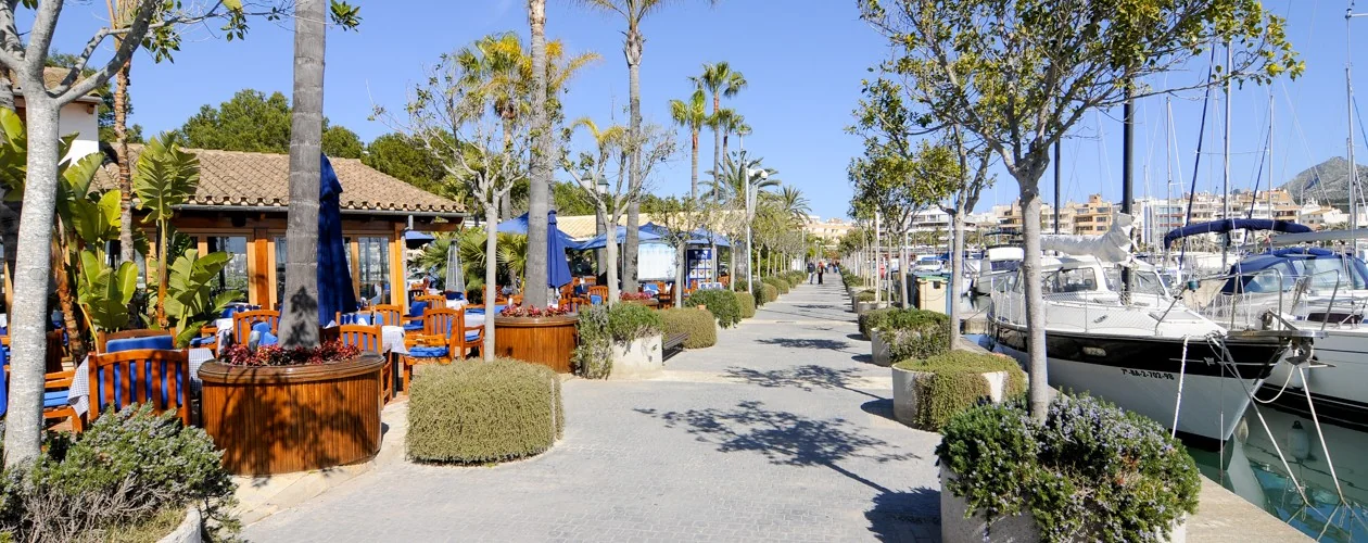 La promenade du port d’Alcúdia · illustration, hors marché