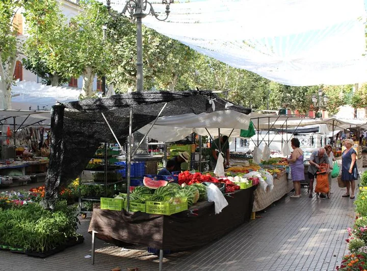 Marché de Sa Pobla — image d’archive Mallorca Tourist Guide, nom de fichier 2019